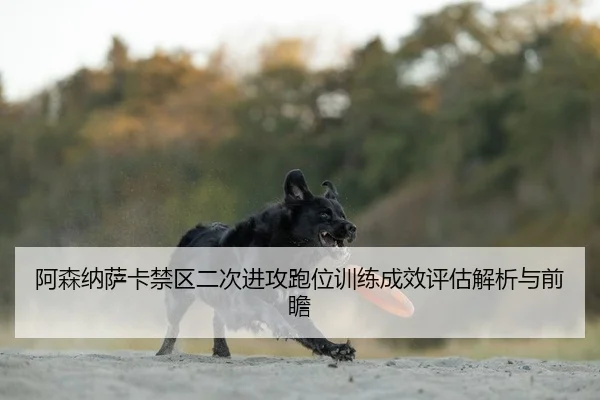 阿森纳萨卡禁区二次进攻跑位训练成效评估解析与前瞻